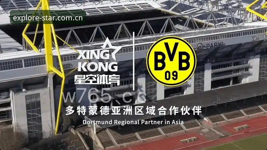 星空app实时赛事数据下载vs常规体育平台：哪个更贴近赛事爱好者的真实需求？